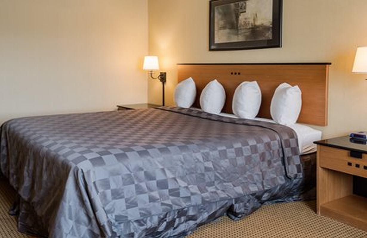 Suburban Studios Chester I-95 Ngoại thất bức ảnh