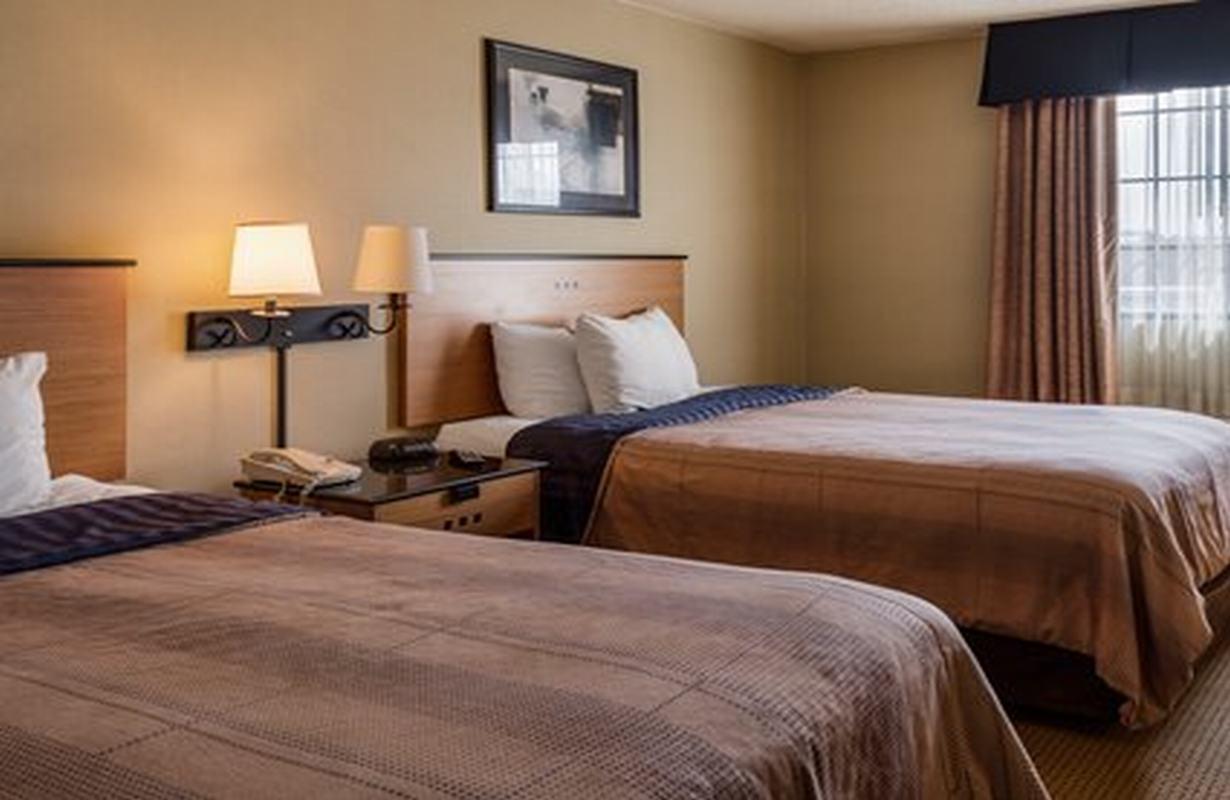 Suburban Studios Chester I-95 Ngoại thất bức ảnh